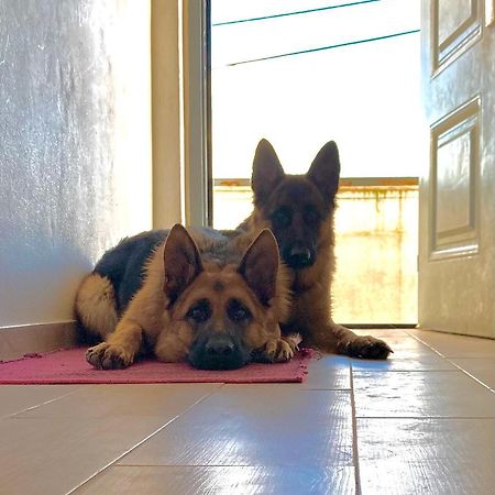 Apartmán Toca Do Lobo Charneca  Exteriér fotografie