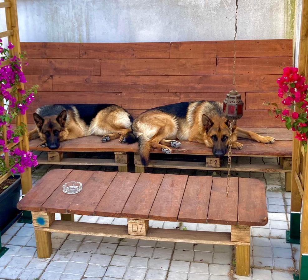 Apartmán Toca Do Lobo Charneca  Exteriér fotografie