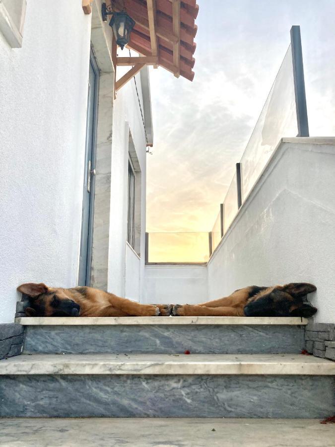 Apartmán Toca Do Lobo Charneca  Exteriér fotografie