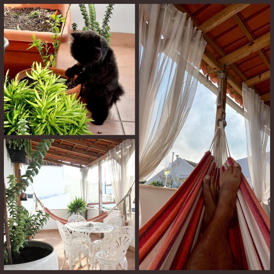 Apartmán Toca Do Lobo Charneca  Exteriér fotografie