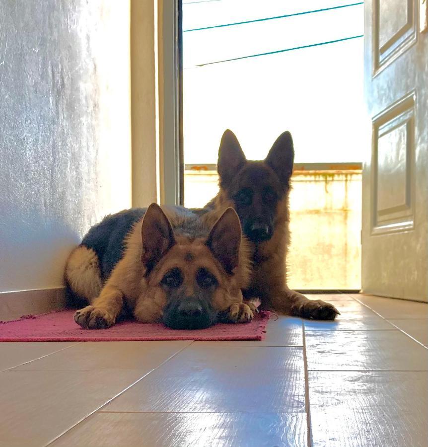 Apartmán Toca Do Lobo Charneca  Exteriér fotografie