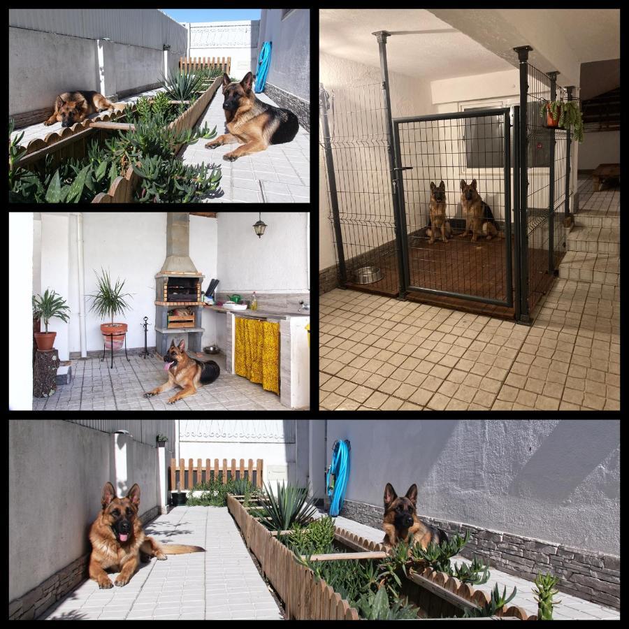 Apartmán Toca Do Lobo Charneca  Exteriér fotografie