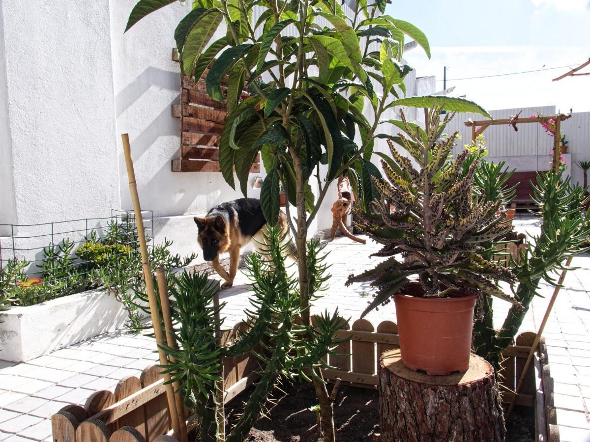 Apartmán Toca Do Lobo Charneca  Exteriér fotografie